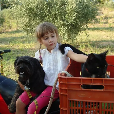 Domus Petrae - Bed & Breakfast