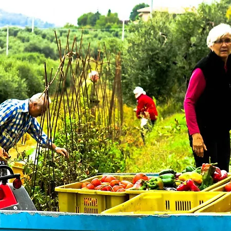 Domus Petrae - Ripatransone