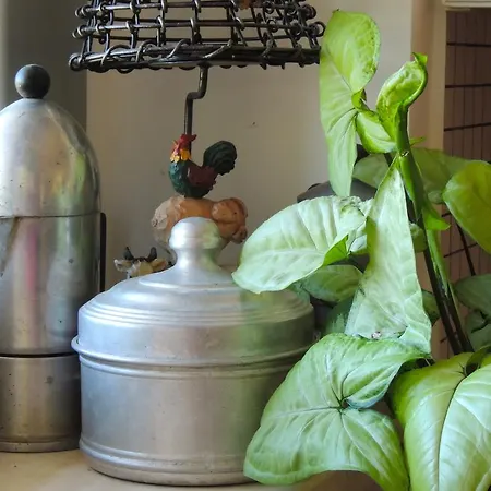 Domus Petrae - Bed and Breakfast