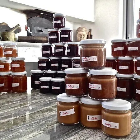 Domus Petrae - Bed and Breakfast